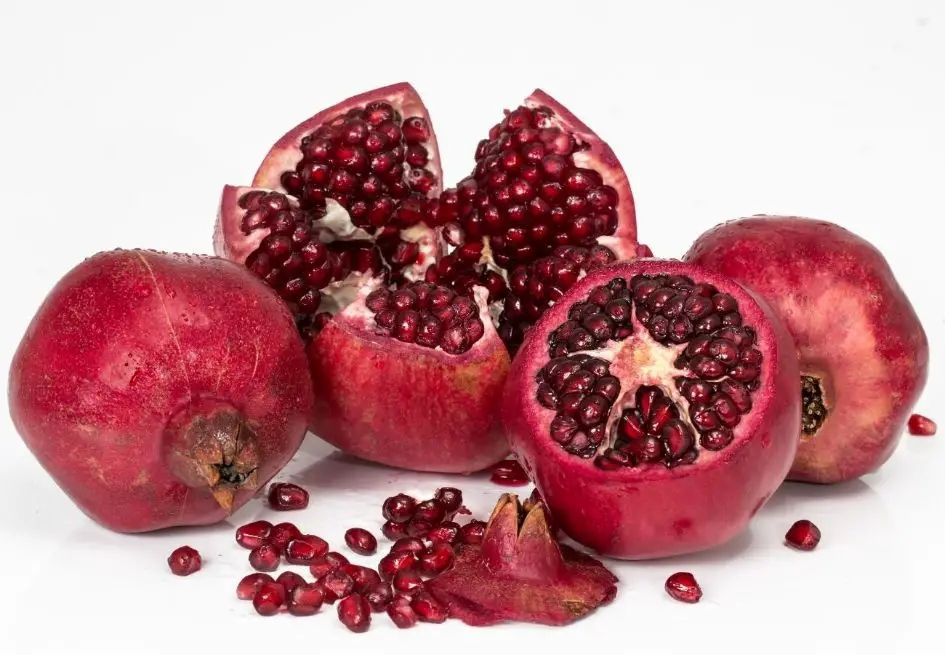 image of pomegranate