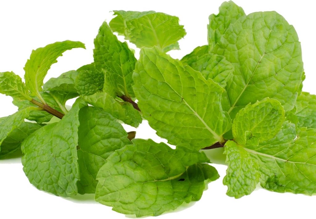 image of mint leaves