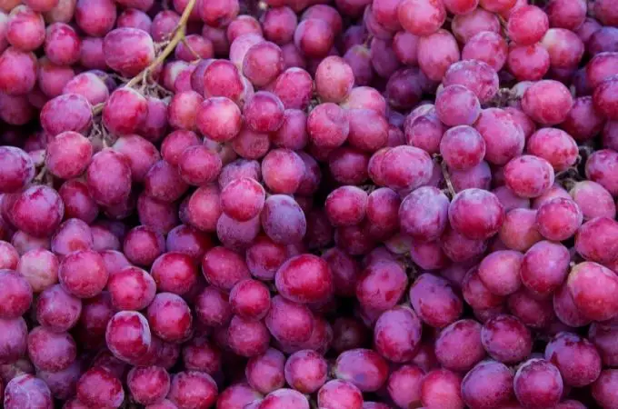 image of grapes