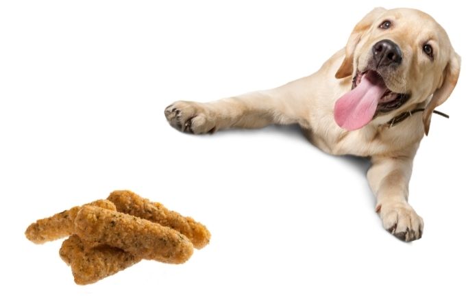 image of Dogs and Mozzarella Cheese Sticks