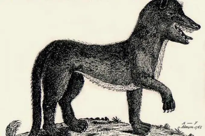 ᐅ Top 24 Man-Eaters Throughout History | The Most Notorious