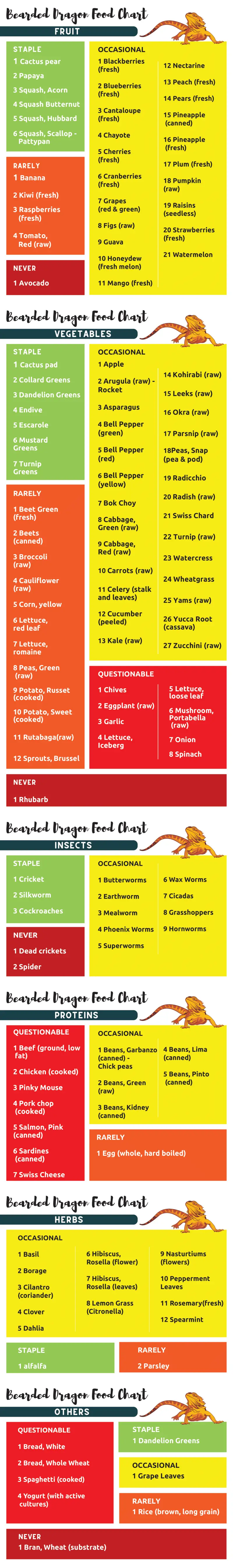 Infographic showing what bearded dragons eat