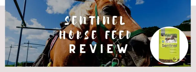 sentinel horse feed review