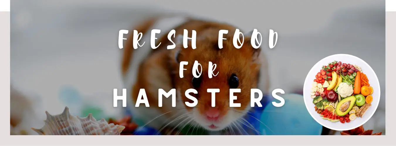 fresh food for hamsters