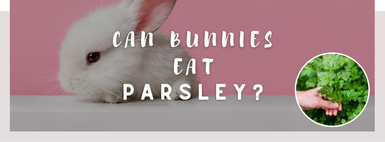 can bunnies eat parsley