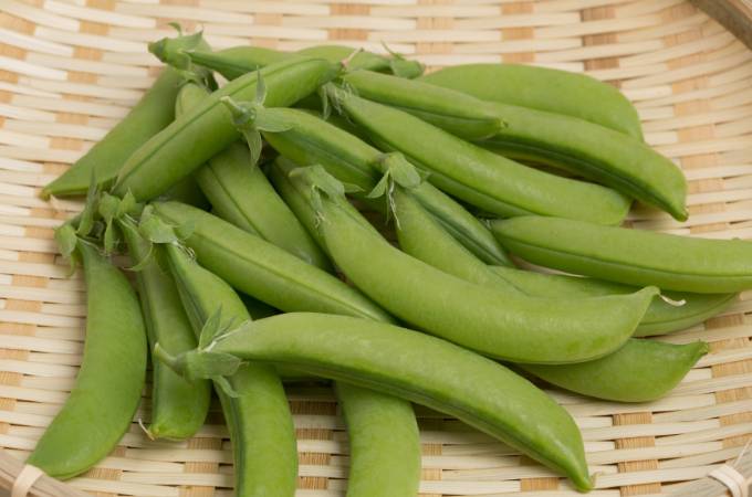 ᐅ Can Rabbits Eat Snap Peas? | Toxic or Healthy