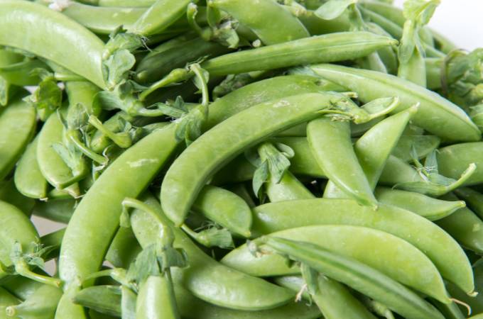 ᐅ Can Rabbits Eat Snap Peas? | Toxic or Healthy